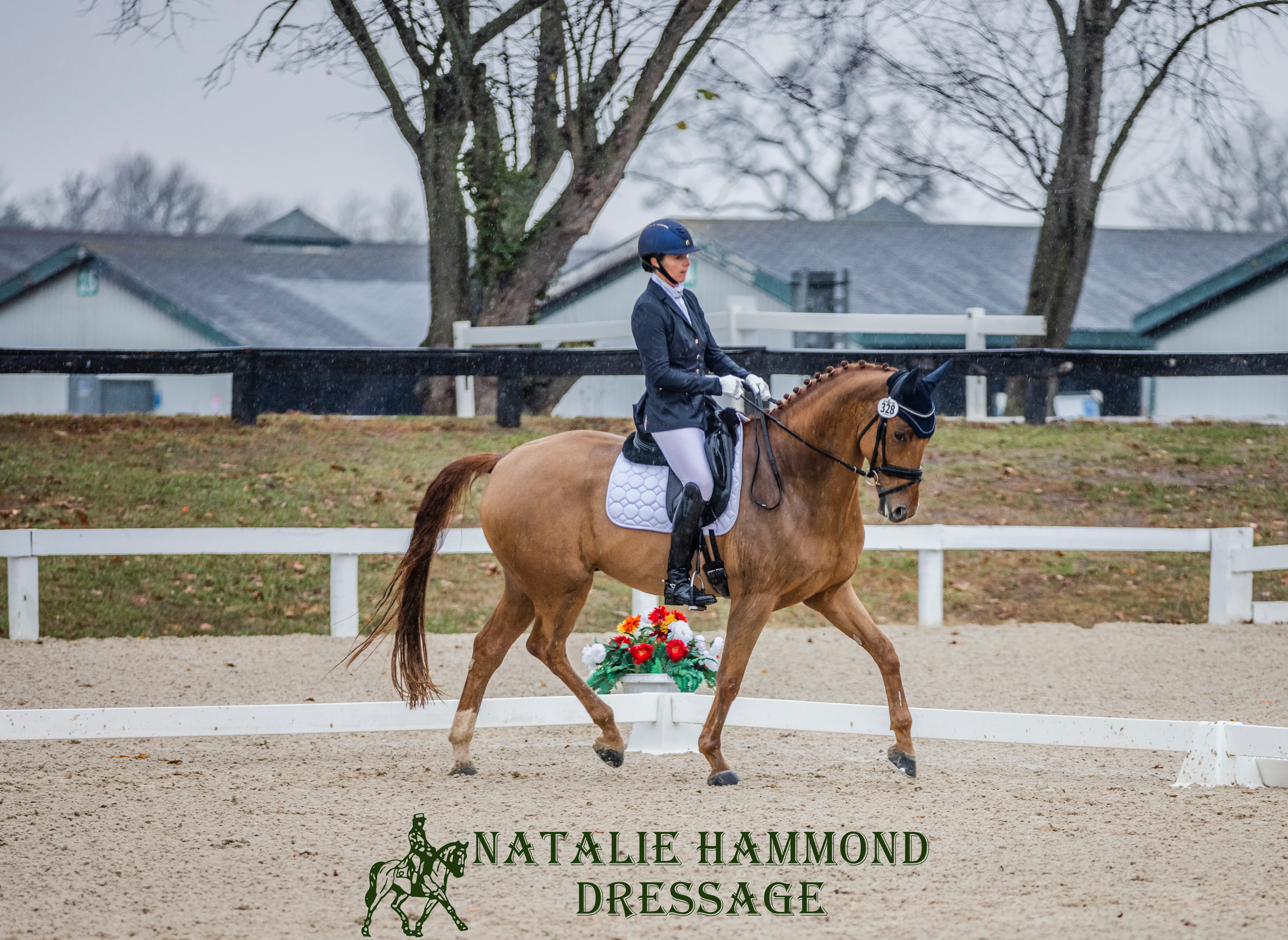 Natalie and Rufus at the 2022 US Dressage Finals