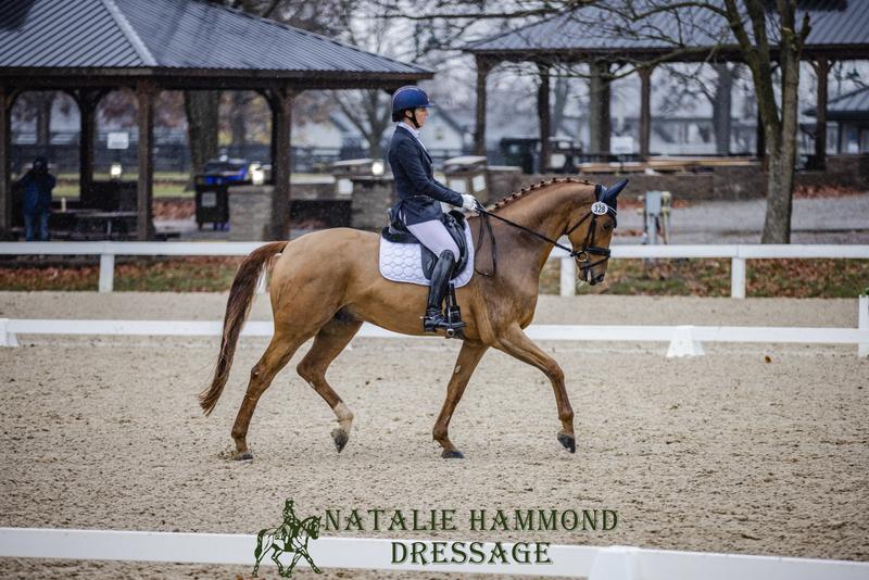 Natalie and Rufus at the 2022 US Dressage Finals